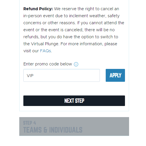 Screenshot of VIP promo code application process